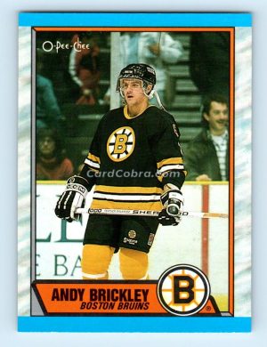 1989 O-Pee-Chee #29 Andy Brickley Boston Bruins Rookie Card